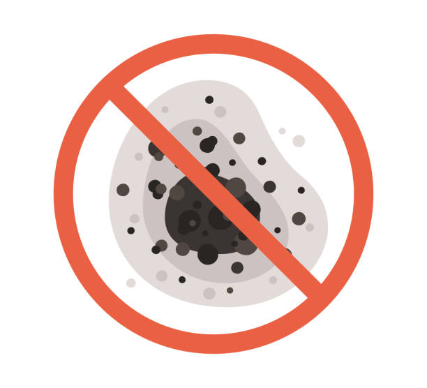 Best Mold Odor Removal Services  in Centerville, MN