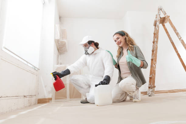 Best Mold Remediation for Healthcare Facilities  in Centerville, MN